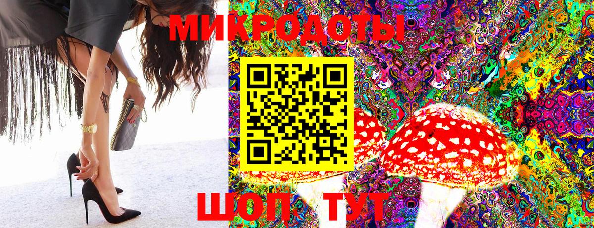 Галлюциногенные грибы MAGIC MUSHROOMS  Вход с VPN  Славянск-на-Кубани 